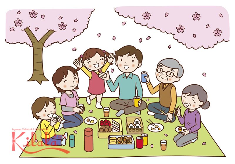hanami hanami