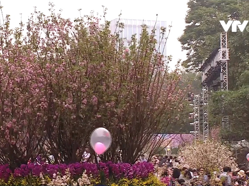 du-hoc-nhat-ban-esuhai-kaizen-1