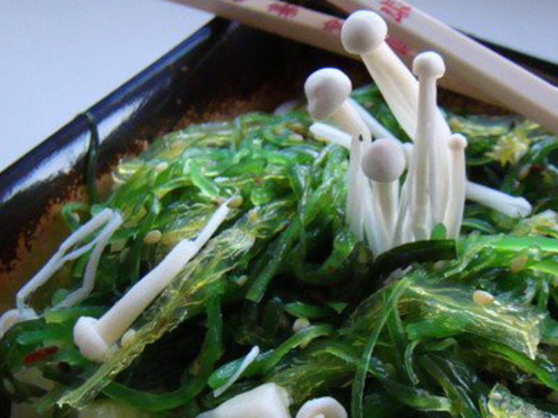 du-hoc-nhat-ban-esuhai-kaizen-1