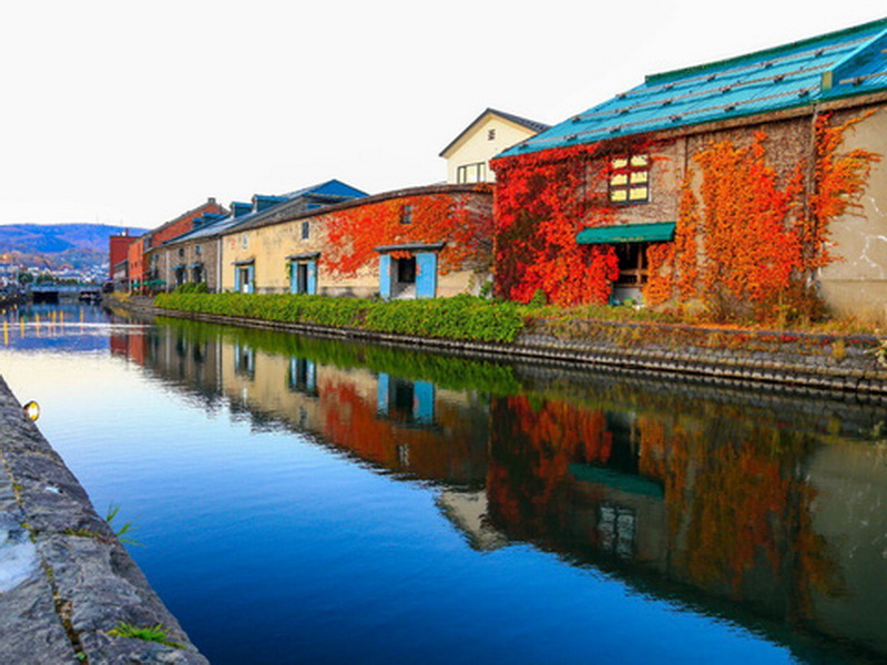 xuat-khau-lao-dong-esuhai-hokkaido