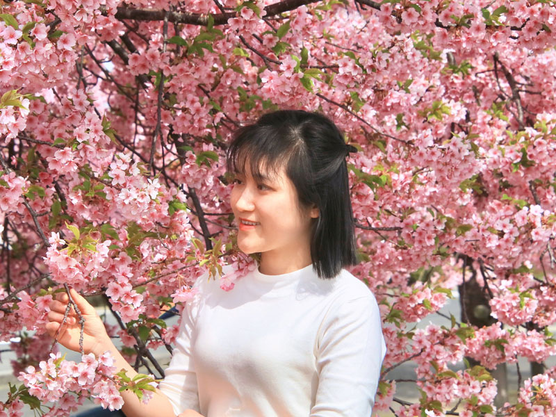 thuc-tap-sinh-nhat-ban-esuhai-kaizen