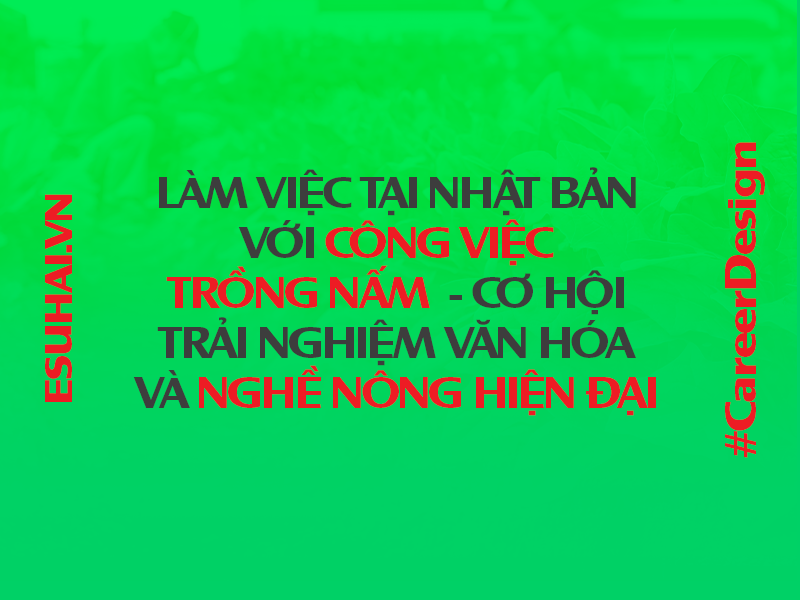 xuat-khau-lao-dong-nhat-ban-esuhai
