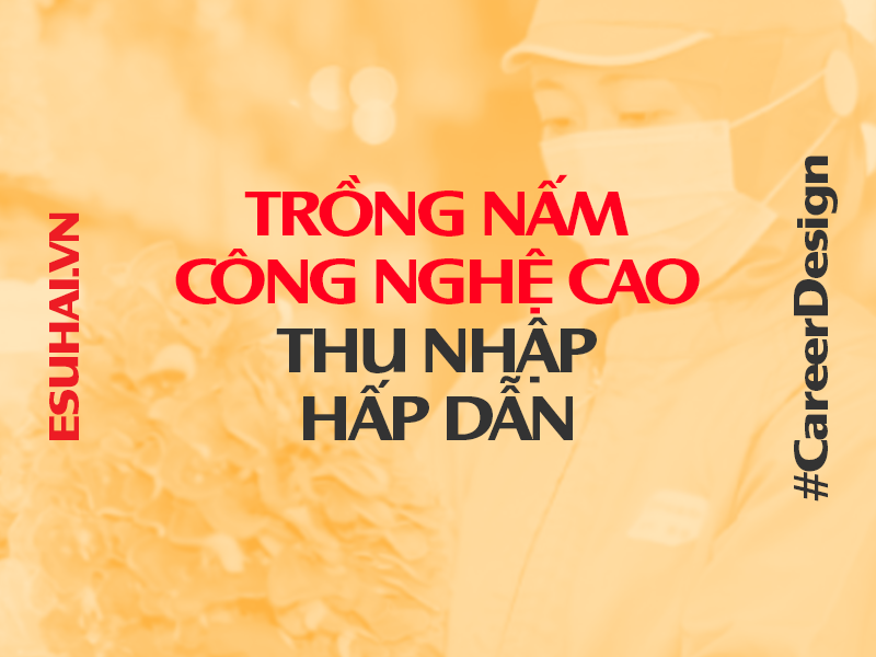 xuat-khau-lao-dong-nhat-ban-esuhai