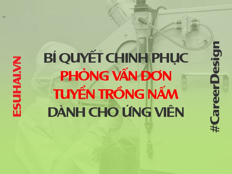 chinh-phuc-phong-van-don-tuyen-trong-nam-cho-ung-vien