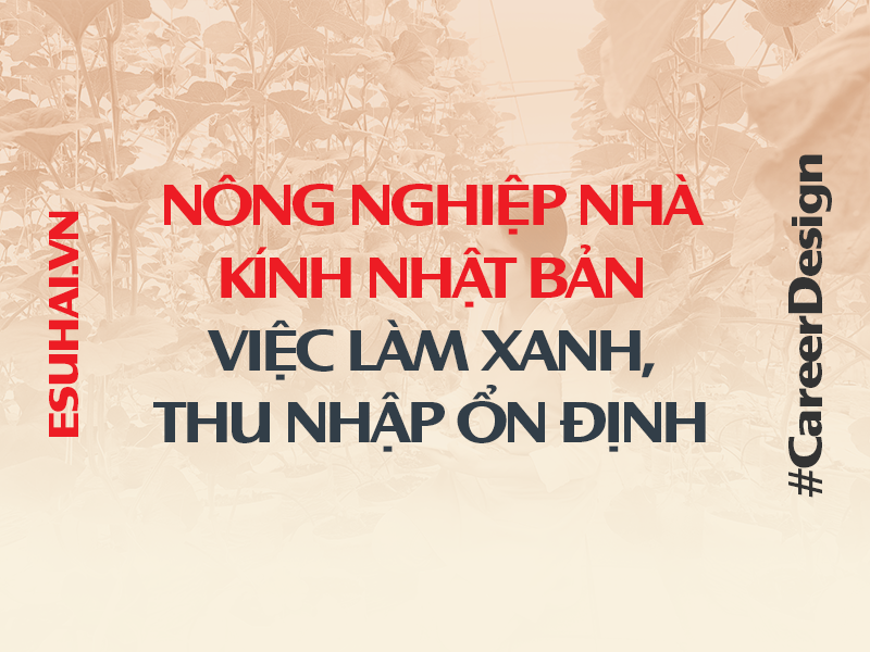 xuat-khau-lao-dong-nhat-ban-esuhai