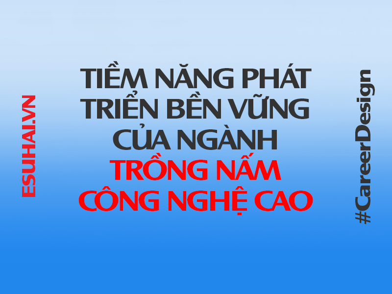 xuat-khau-lao-dong-nhat-ban-esuhai