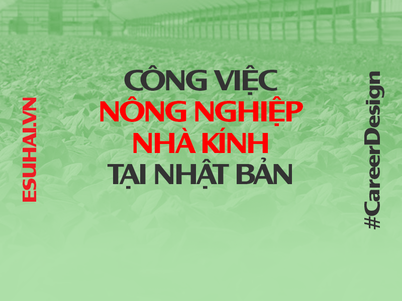 xuat-khau-lao-dong-nhat-ban-esuhai