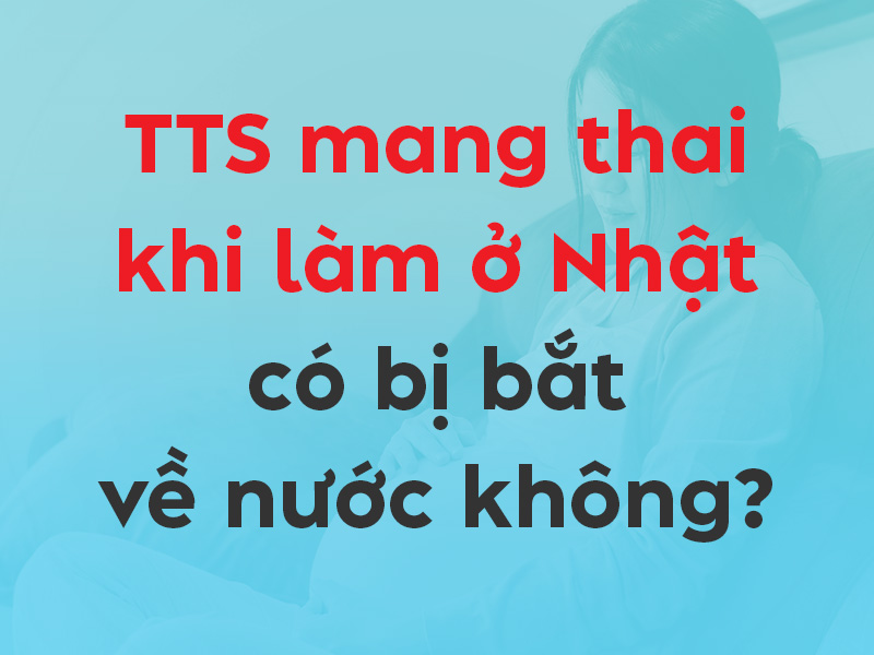 Thực tập sinh mang thai tại Nhật có bị bắt về nước không?