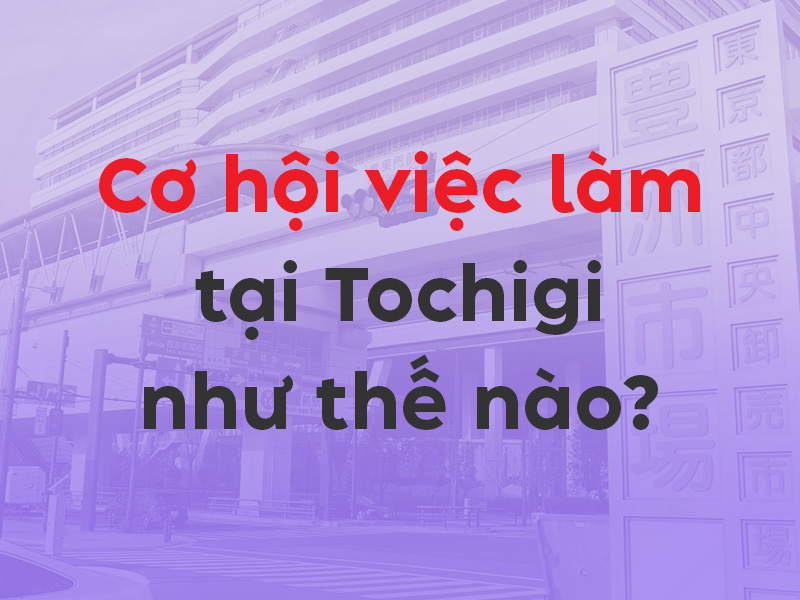 Cơ hội việc làm tại Tochigi cho lao động Việt Nam - Cập nhật mới nhất