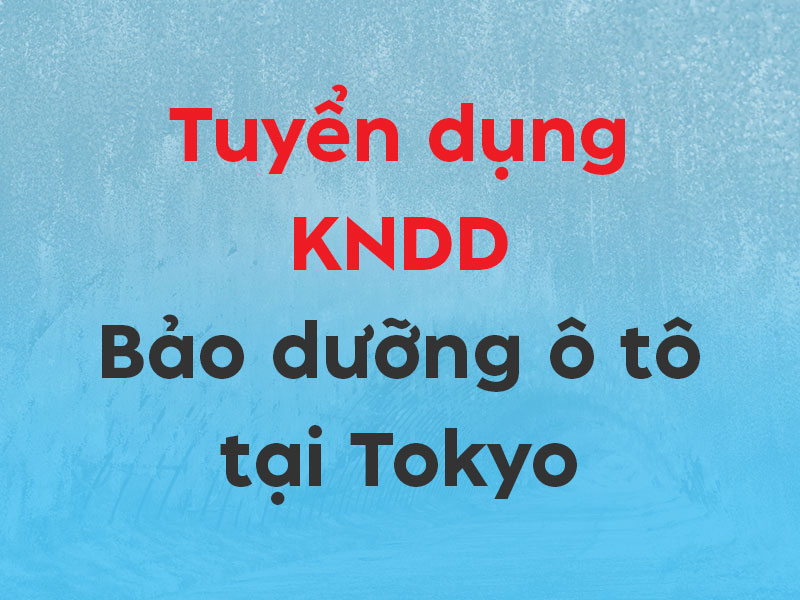[KNDD] Tuyển 1 Nam Kỹ Năng Đặc Định Ngành Bảo Dưỡng Ô Tô Làm Việc Tại Tokyo