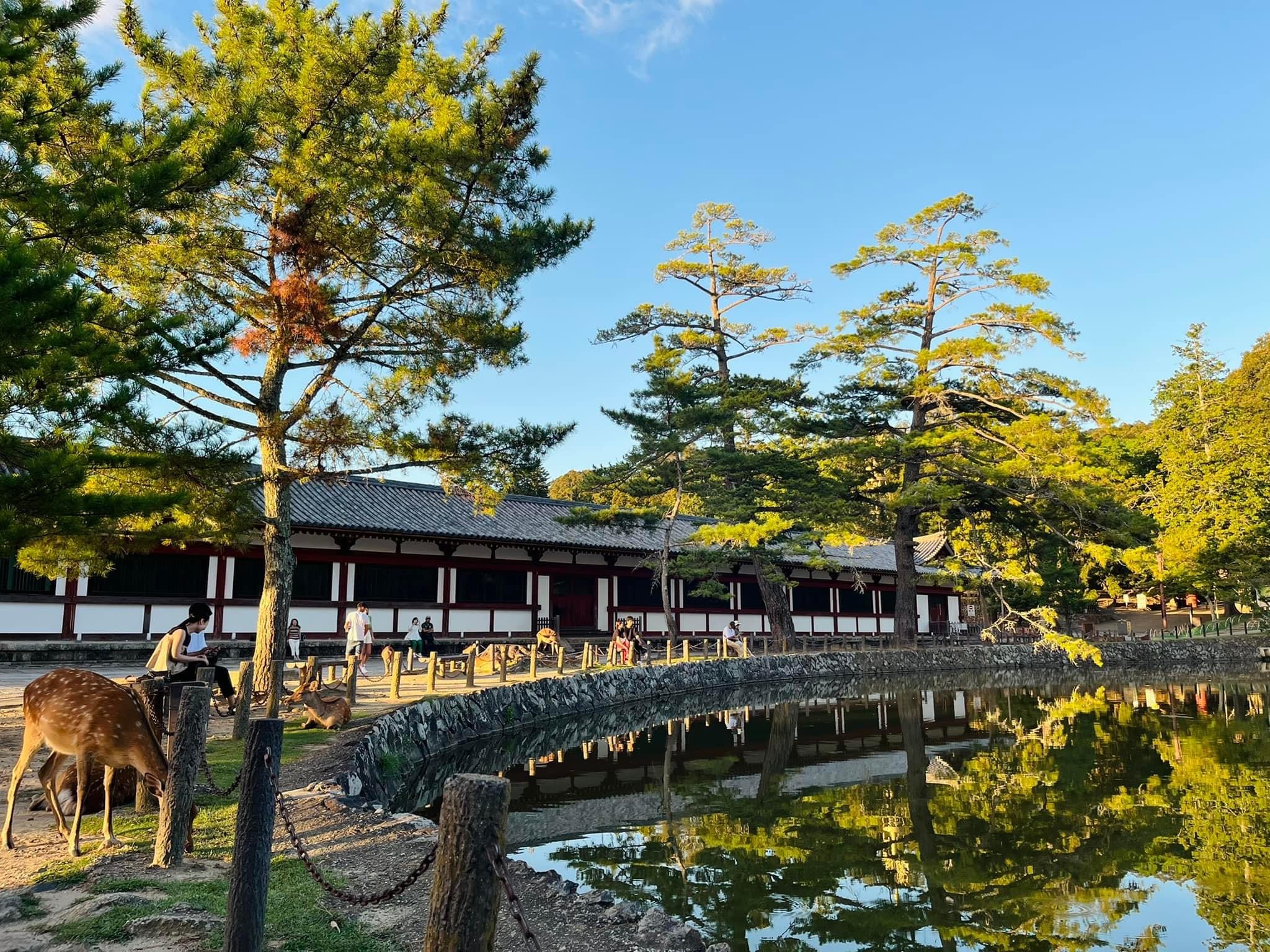 xuat-khau-lao-dong-esuhai-1